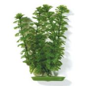 Растение пластиковое Hagen зеленое Амбулия 38см (PP-1502)