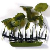 Растение почвопокровное пластиковое Hagen зеленое Марсилея (PP-317)