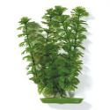 Растение пластиковое Hagen зеленое Амбулия 50см (PP-2002)